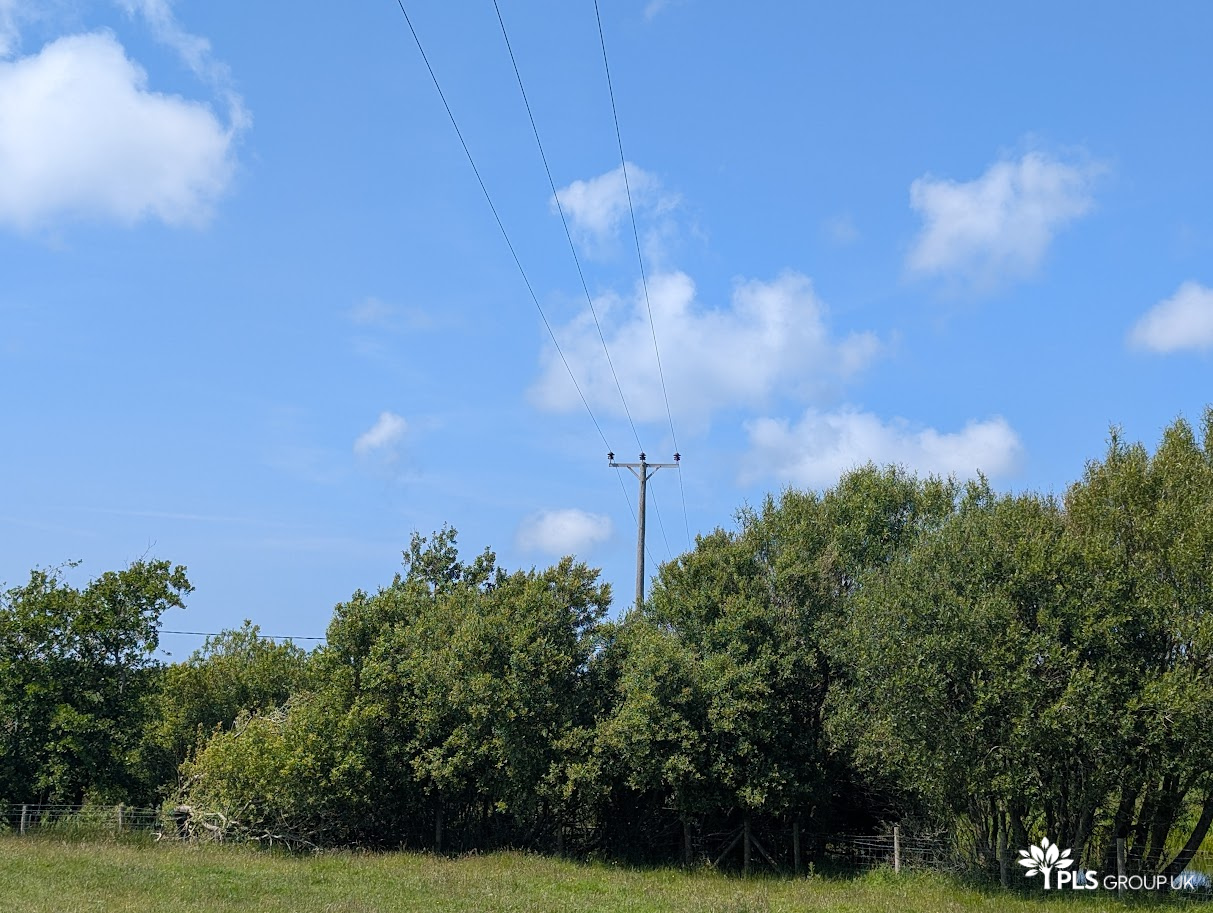 Utility Arb Surveys